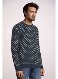 Hanorac albastru TOM TAILOR homme