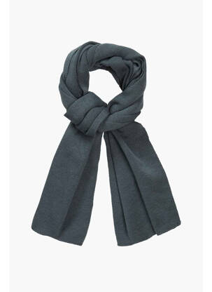 Eșarfă gri PETROL INDUSTRIES băiat