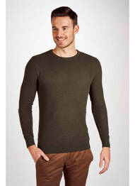Pulover verde BRUCE & BUTLER  homme