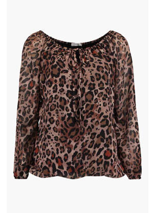 Cămașă maro HAILYS femeie