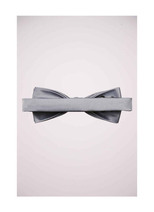 Papion gri SELECTED bărbat