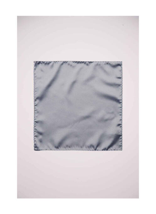 Papion gri SELECTED bărbat