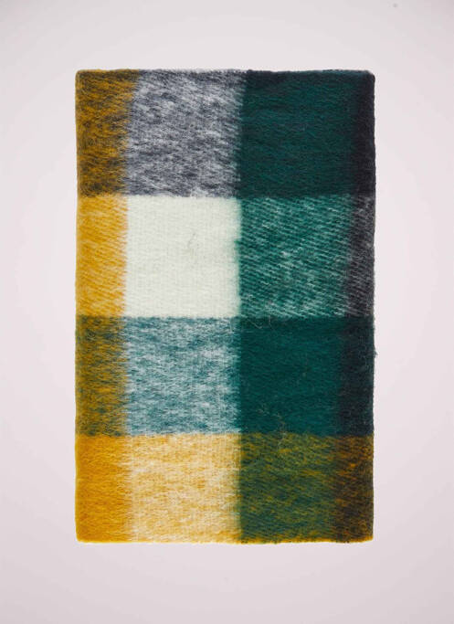 Eșarfă verde PIECES femeie