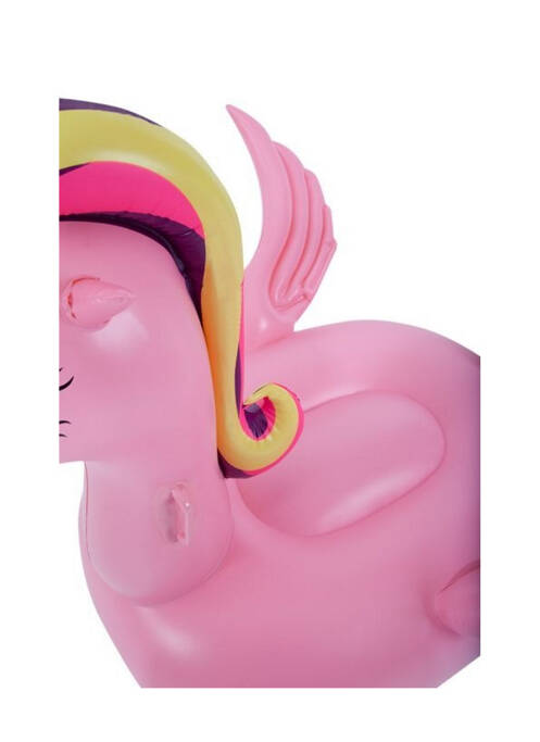 Accesoriu divers multicolor TALLY WEIJL femeie