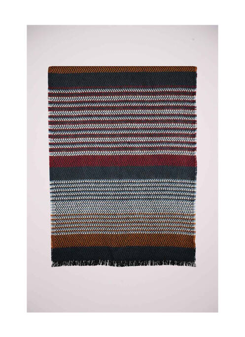 Eșarfă multicolor HAZE&FINN bărbat