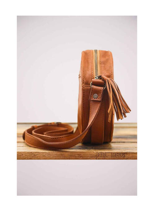 Geantă maro PAUL MARIUS femeie