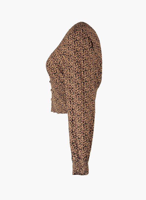 Cămașă maro HAILYS femeie