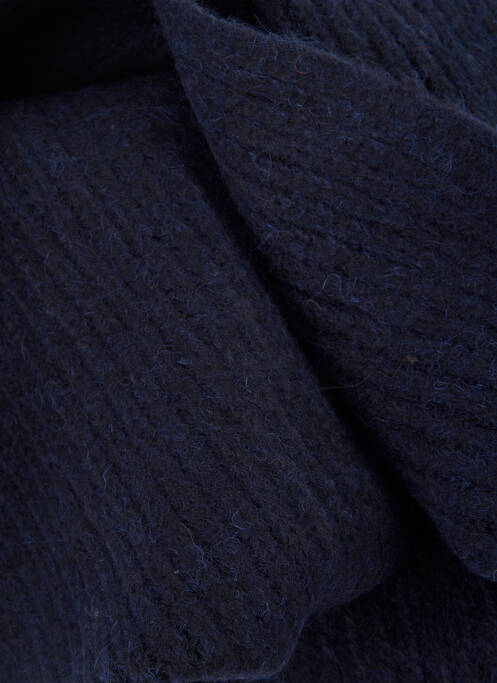 Eșarfă albastru SUPERDRY femeie