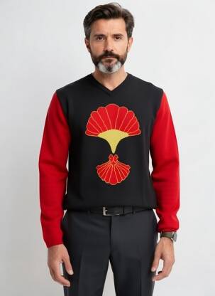 Pulover guler în v mâneci lungi negru PIERRE TALAMON bărbat
