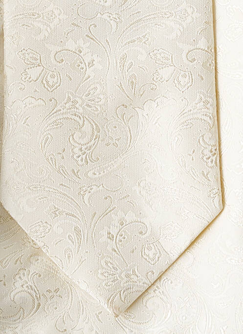 Cravată bej DIGEL bărbat