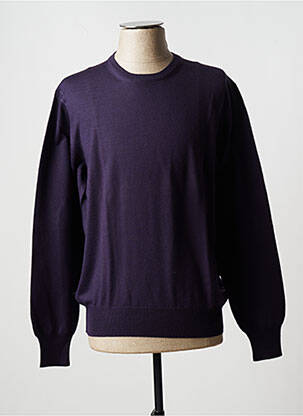 Pulover violet VIADESTE bărbat