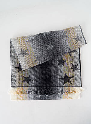 Eșarfă gri JOSÉLISE femeie