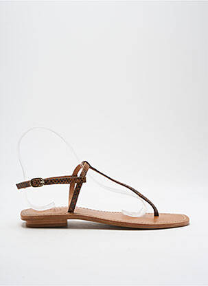 Șlapi maro COULEUR POURPRE femeie