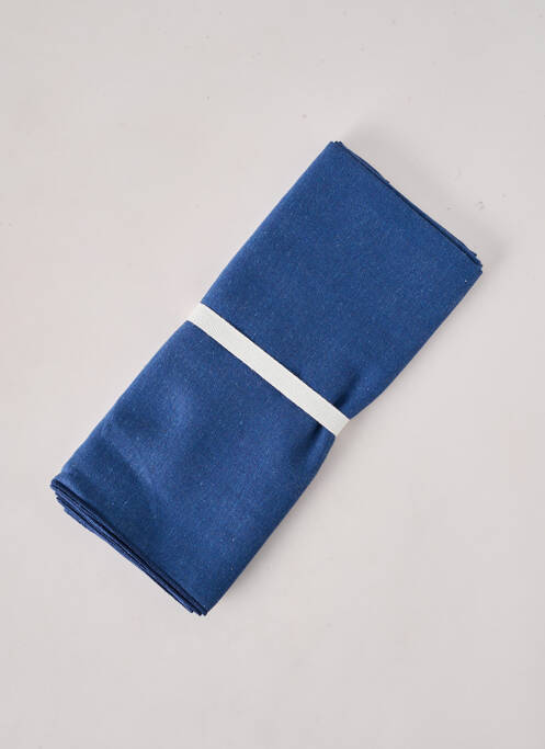 Diverse casă albastru ALINEA femeie