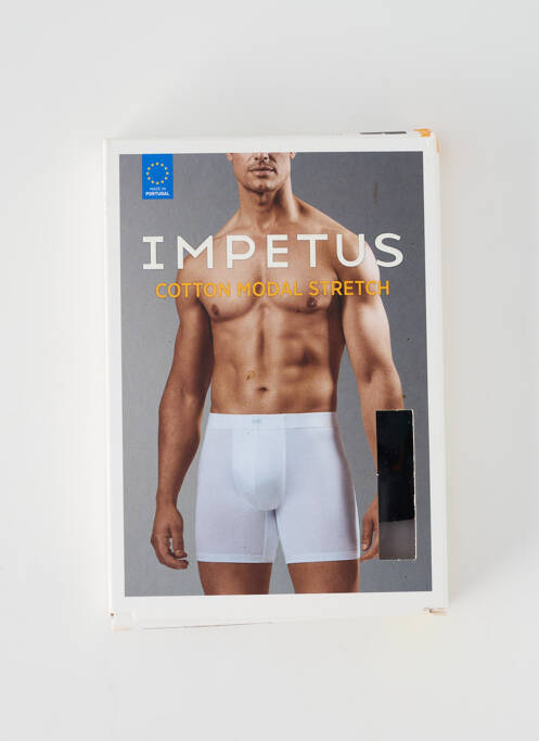 Boxer negru IMPETUS bărbat