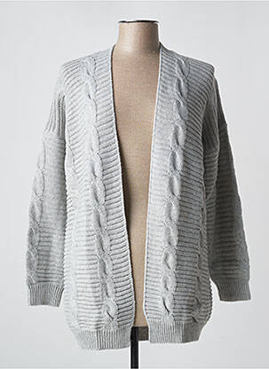 Vestă cu mâneci lungi gri PAUL BRIAL femeie