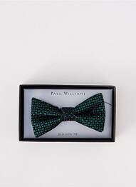 Papion imprimeu fantezie verde PAUL WILLIAMS homme