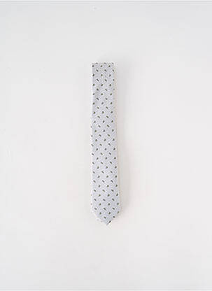 Cravată gri VERUGIA bărbat