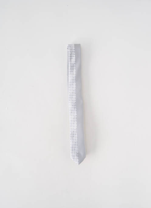 Cravată gri VERUGIA bărbat