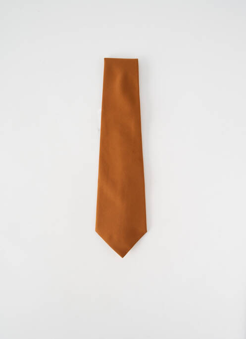 Cravată maro FIBRE CRAVATE DE LUXE bărbat