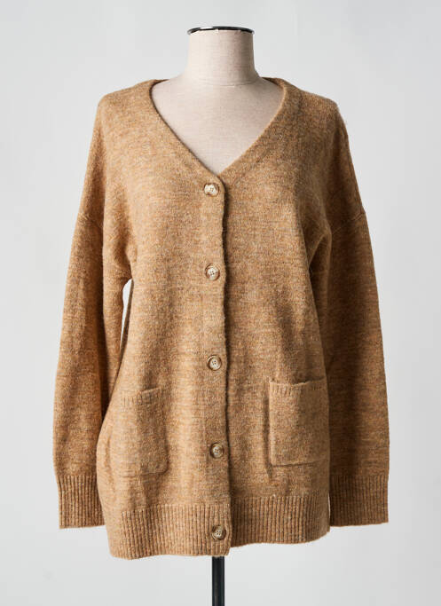 Vestă cu mâneci lungi maro DIPLODOCUS femeie