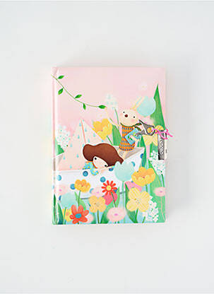 Accesoriu divers roz SANTORO fată