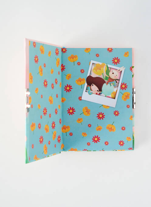 Accesoriu divers roz SANTORO fată