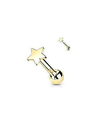 Piercing materiale aur auriu TATA GISELE femeie