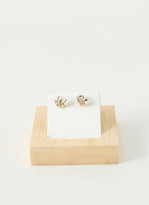 Cercei argintiu TARATATA femeie