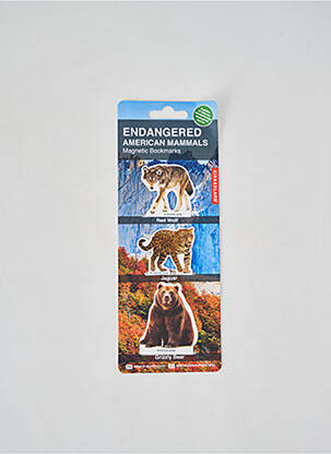 Accesoriu divers maro KIKKERLAND unisex