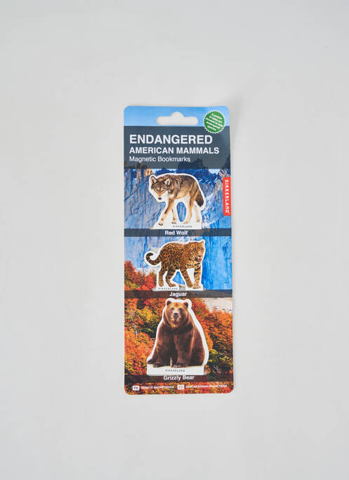 Accesoriu divers maro KIKKERLAND unisex