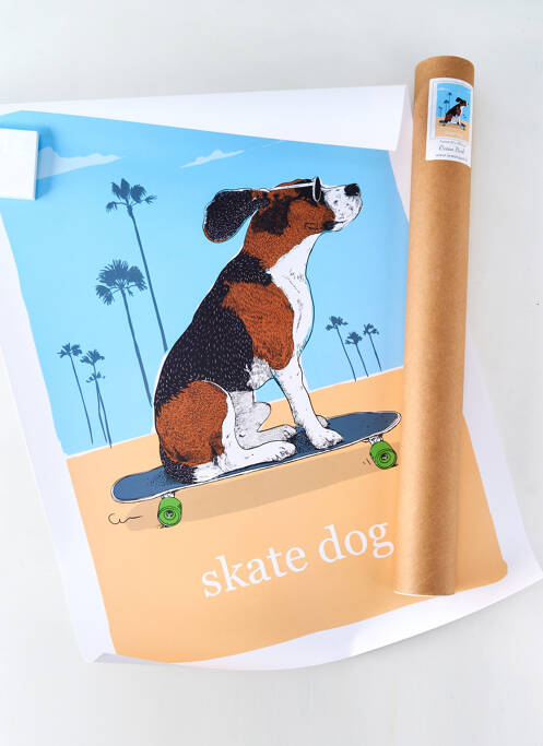 Accesoriu divers albastru OCEAN PARK unisex