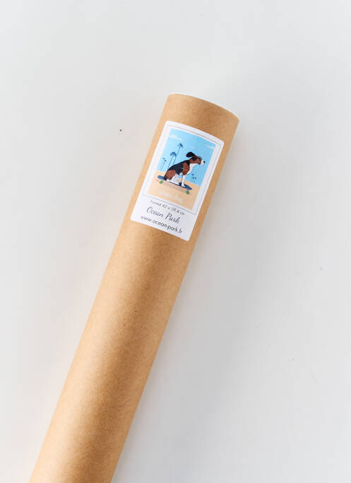 Accesoriu divers albastru OCEAN PARK unisex