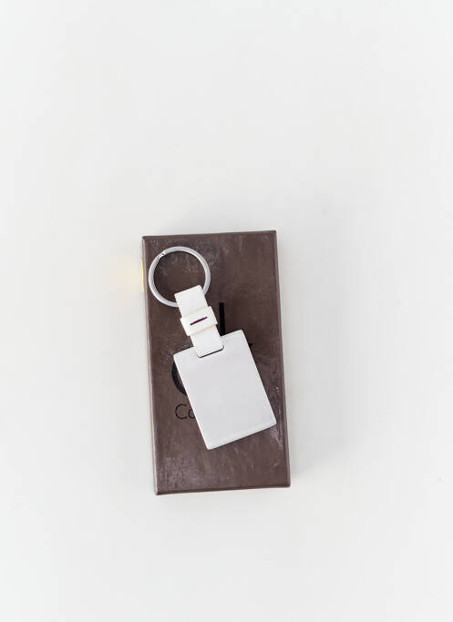 Accesoriu divers argintiu CALVIN KLEIN bărbat