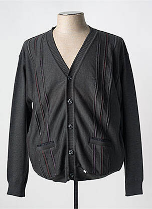 Vestă cu mâneci lungi gri TRICOVAL bărbat