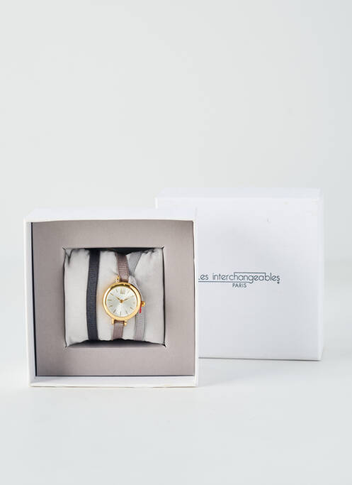 Ceas gri LES INTERCHANGEABLES femeie