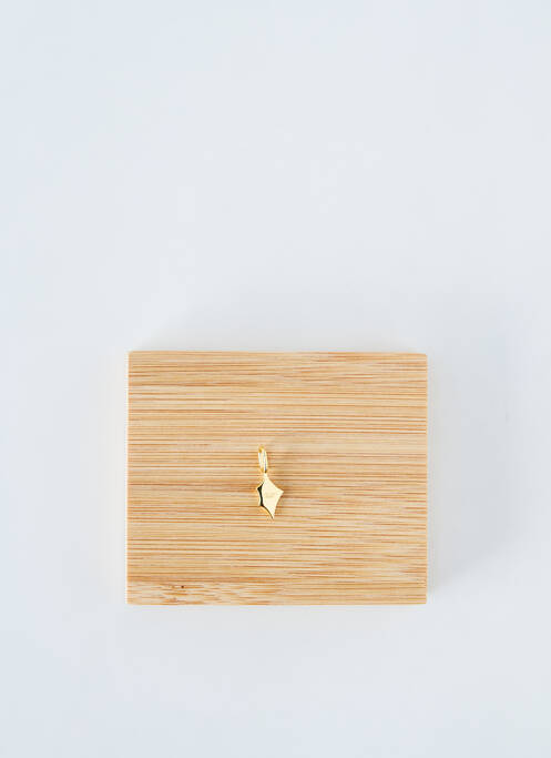 Pandantiv auriu ANIA HAIE femeie