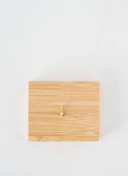 Pandantiv auriu ANIA HAIE femeie