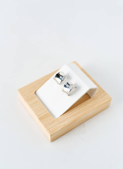 Cercei argintiu ROBBEZ MASSON femeie