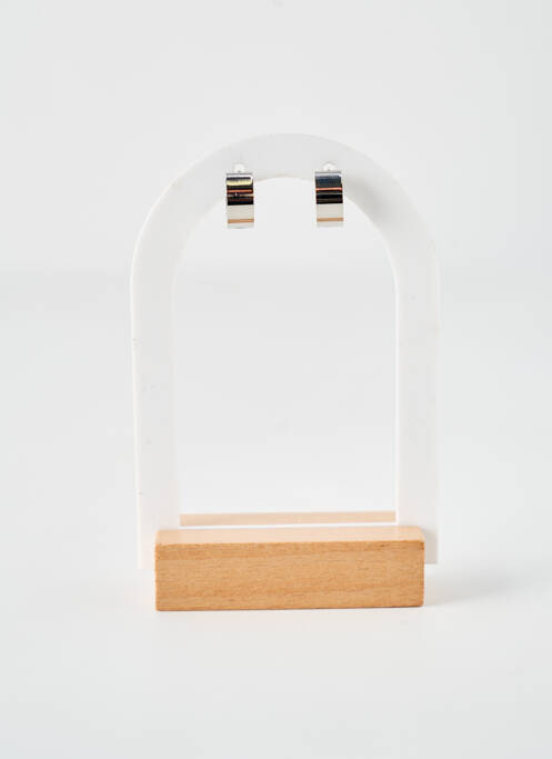 Cercei argintiu ROBBEZ MASSON femeie