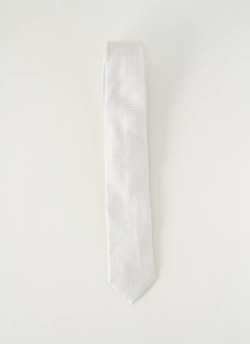 Cravată gri PAL ZILERI bărbat