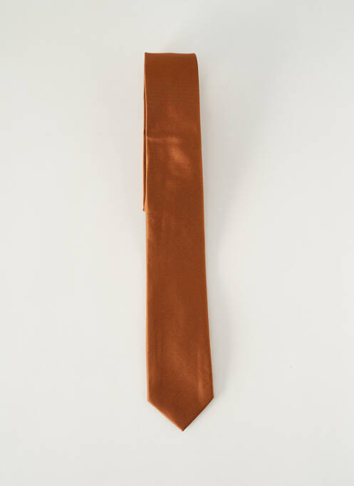 Cravată maro ROY ROBSON bărbat