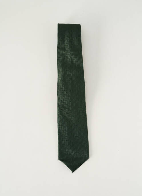 Cravată verde VAN LAACK bărbat