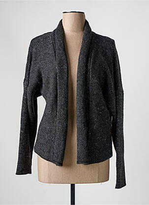 Vestă cu mâneci lungi gri JEAN DELFIN femeie