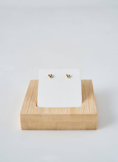 Cercei auriu ANA LUISA femeie