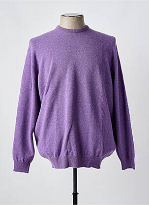 Pulover guler rotund mâneci lungi violet CROSSWAYS bărbat