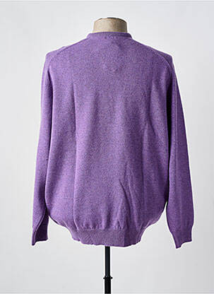 Pulover guler rotund mâneci lungi violet CROSSWAYS bărbat