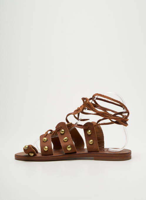 Șlapi maro VIRGINIE DARLING femeie