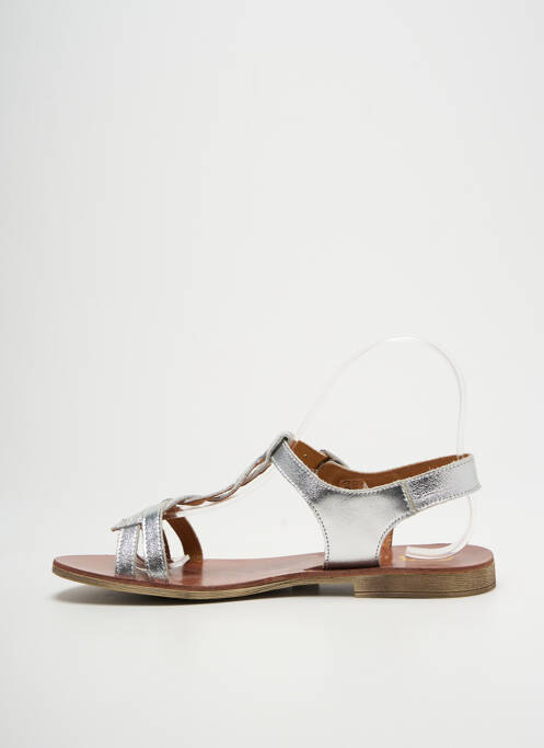 Sandale/Pantofi decupați argintiu GBB femeie