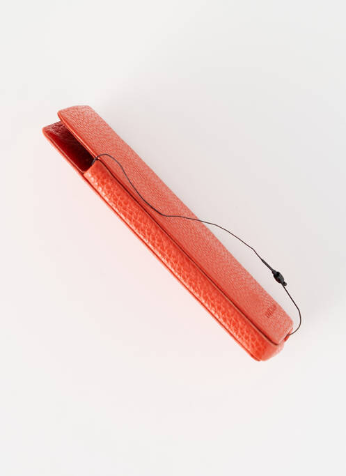 Accesoriu divers portocaliu LONGCHAMP bărbat